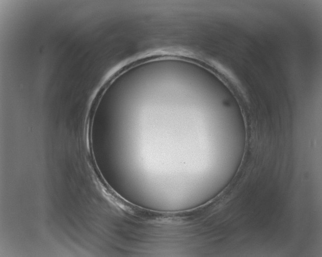 X0000081321272200701111019