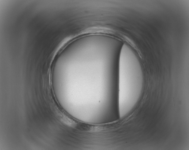 X0000081321275200701111019