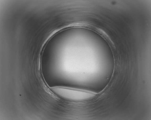 X0000081321276200701111019