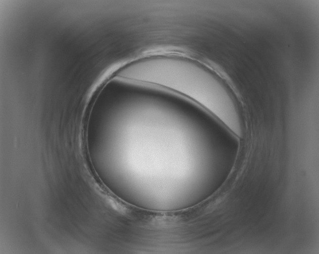 X0000081321277200701111019