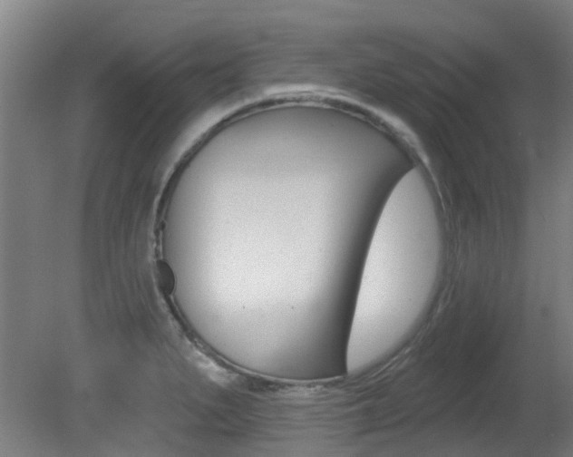 X0000081321279200701111019