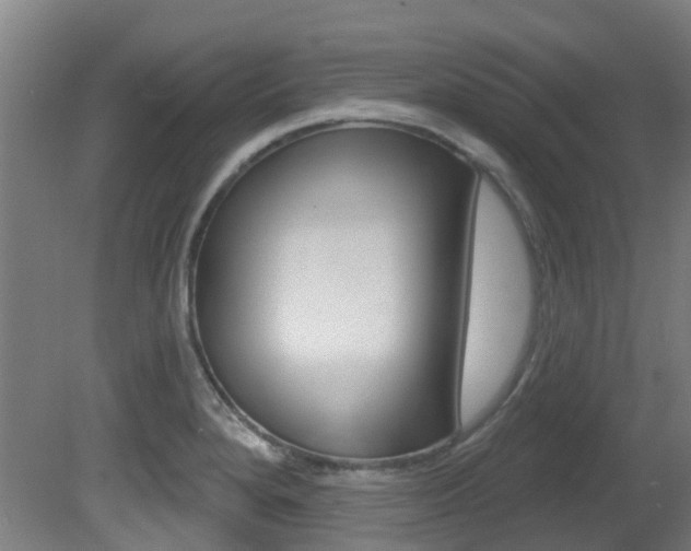 X0000081321280200701111019