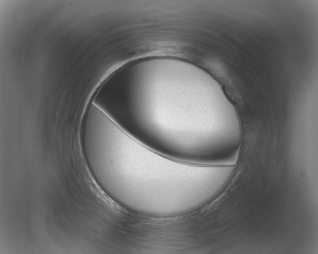 X0000081321284200701111019