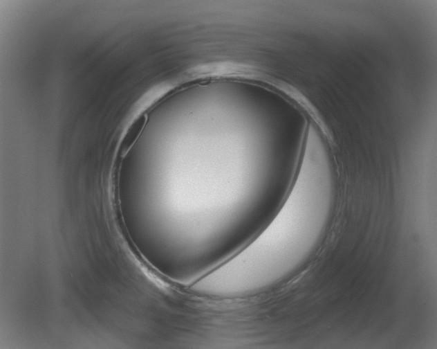 X0000081321285200701111019