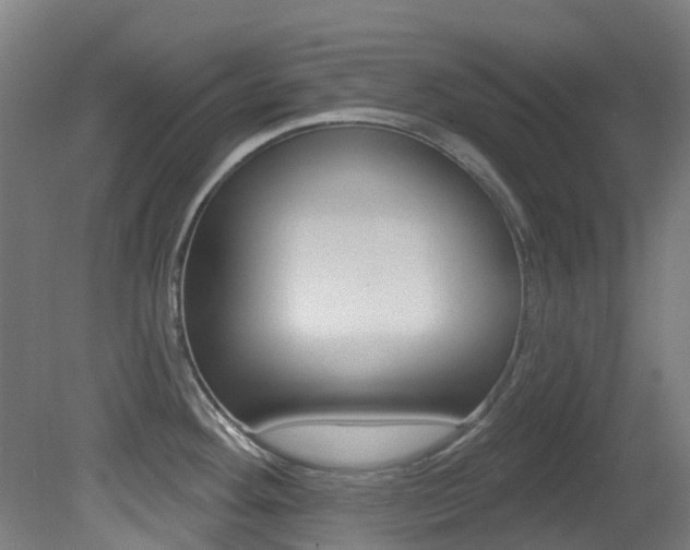 X0000081321292200701111019