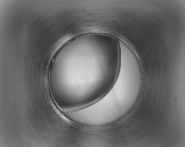 X0000081321293200701111019