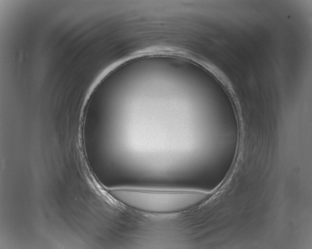 X0000081321296200701111019