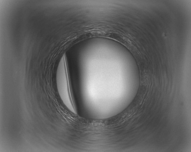 X0000081321297200701111018