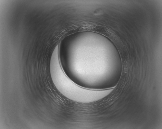 X0000081321298200701111018