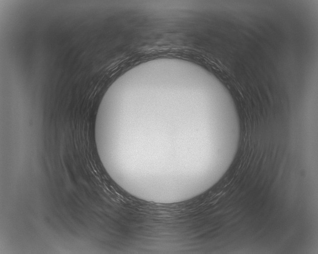 X0000081321300200701111018