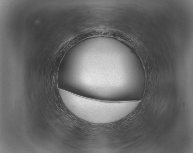 X0000081321302200701111018