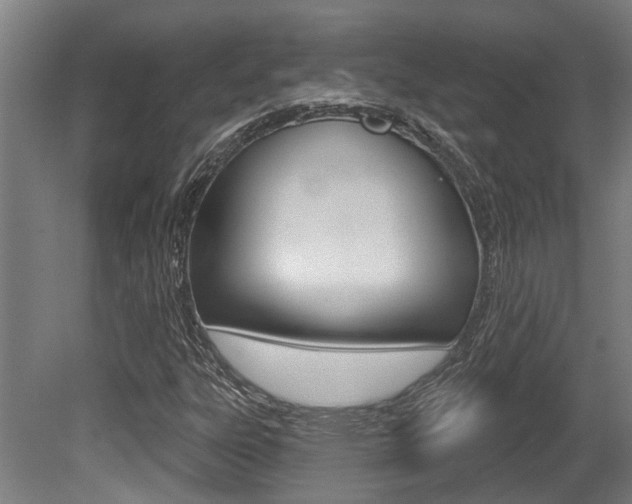 X0000081321303200701111018