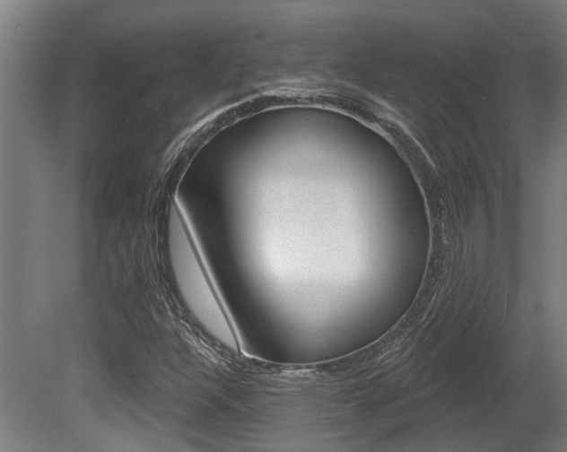 X0000081321304200701111018