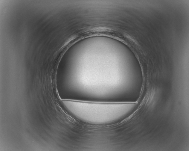 X0000081321305200701111018