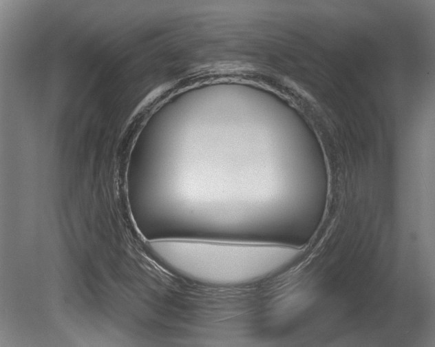 X0000081321306200701111018