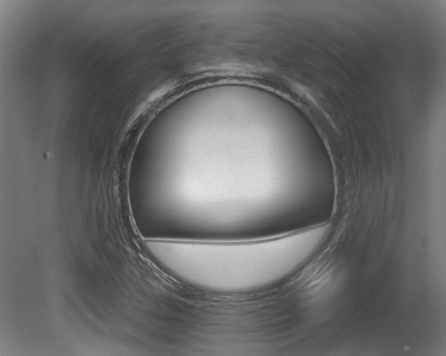 X0000081321307200701111018