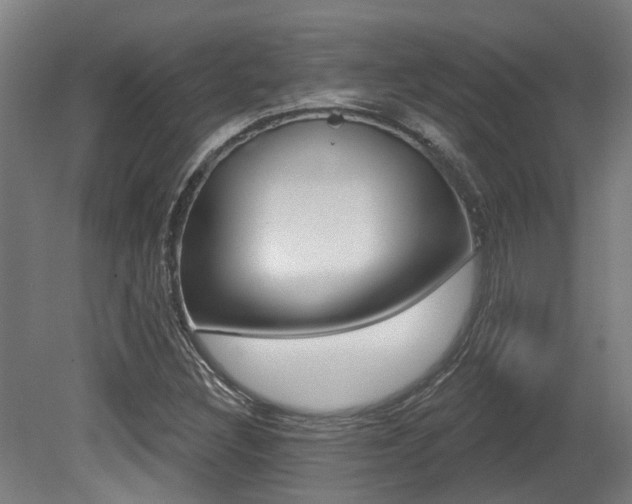 X0000081321308200701111018