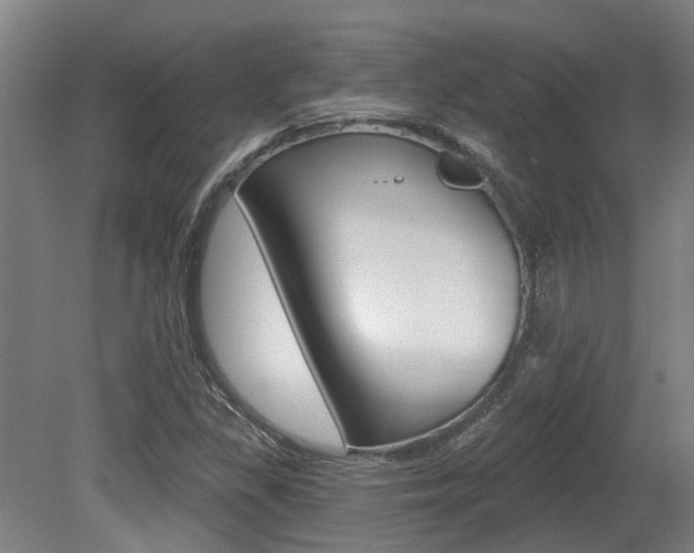 X0000081321309200701111018