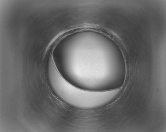 X0000081321310200701111018