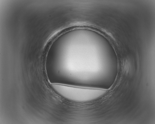 X0000081321311200701111018