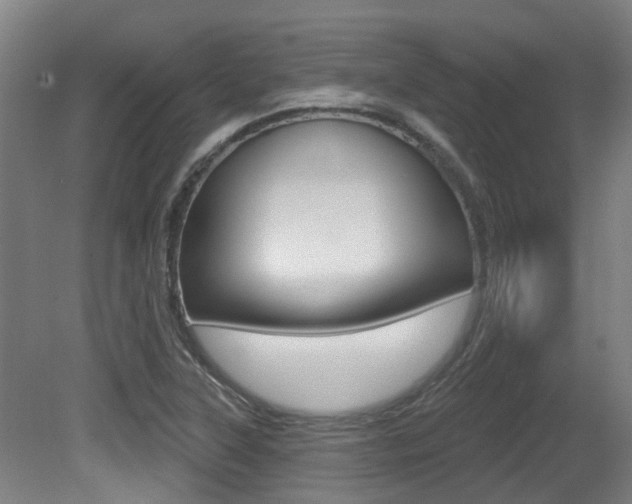 X0000081321315200701111018