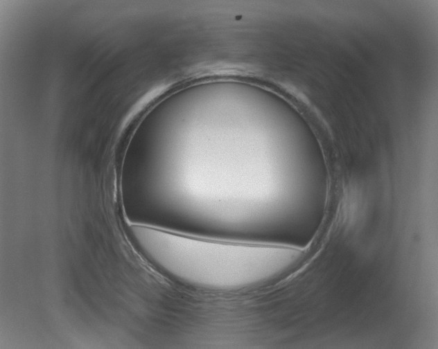 X0000081321317200701111018