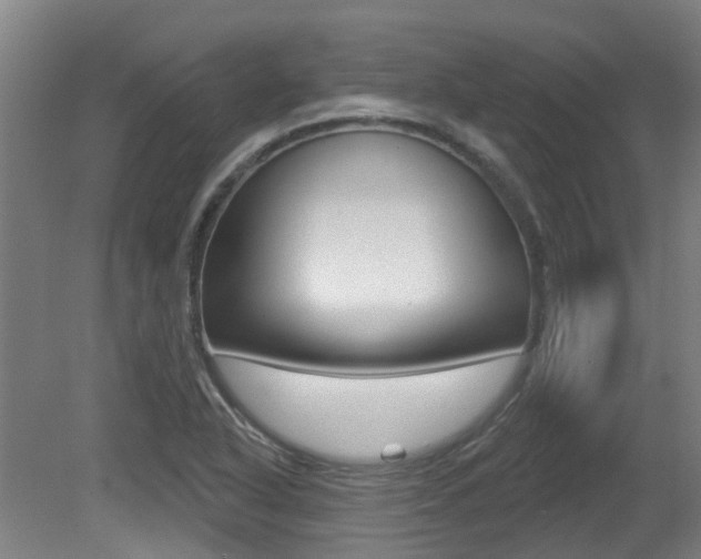 X0000081321318200701111018