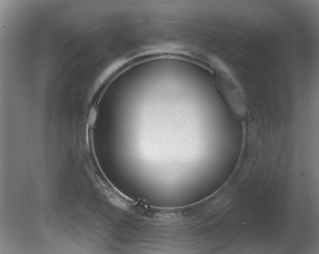 X0000081321320200701111018