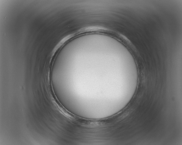 X0000081321322200701111018