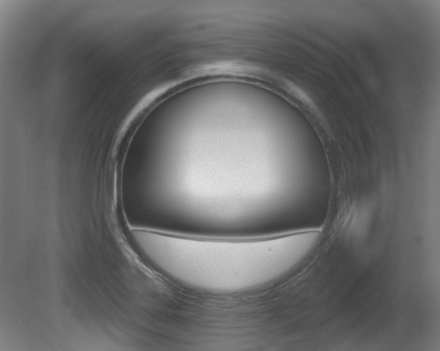 X0000081321323200701111018