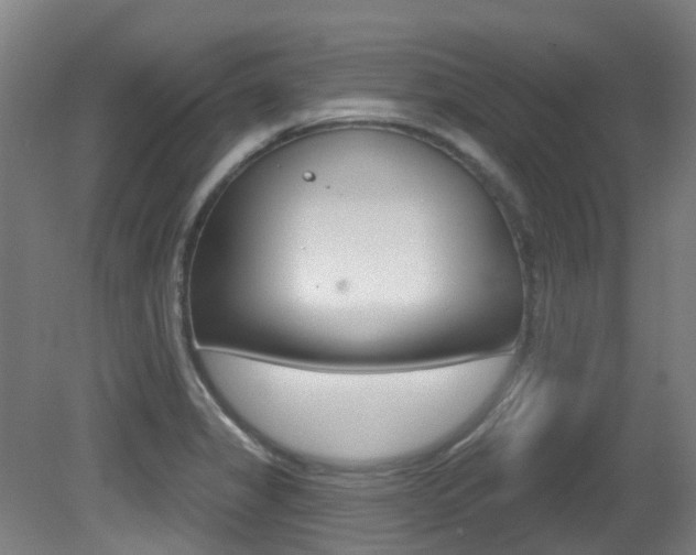 X0000081321325200701111018