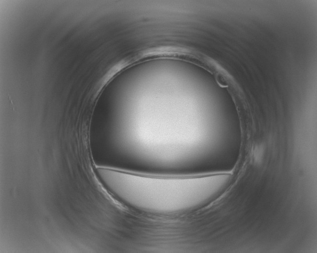 X0000081321329200701111018