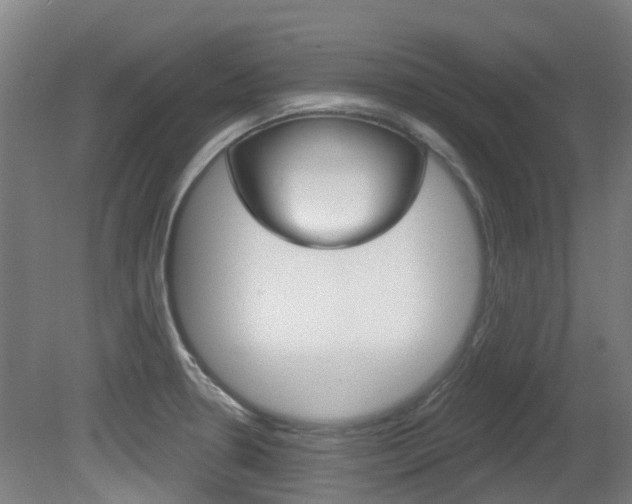 X0000081321330200701111018
