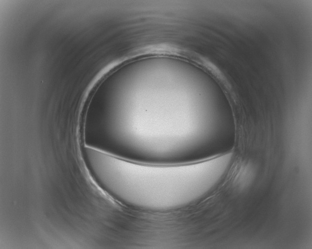 X0000081321331200701111018