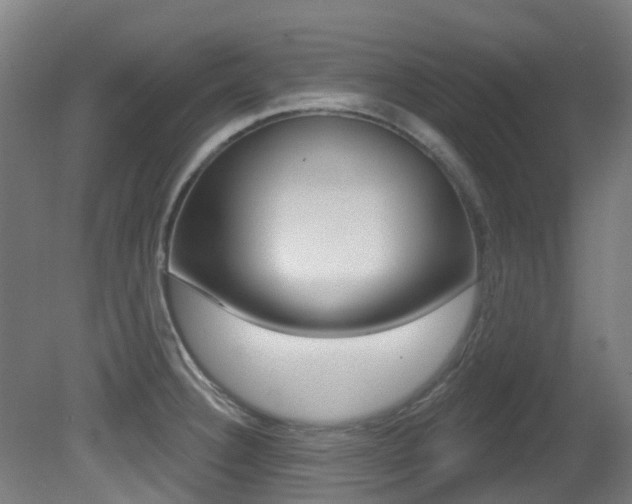 X0000081321332200701111018