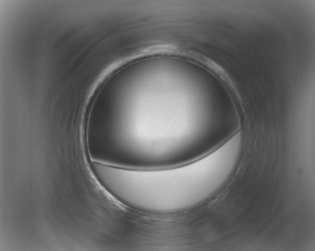 X0000081321334200701111018