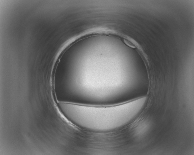 X0000081321335200701111018