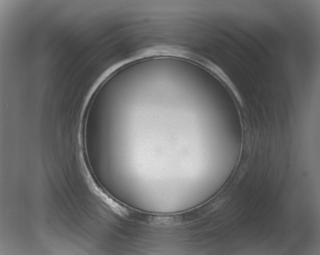 X0000081321339200701111018