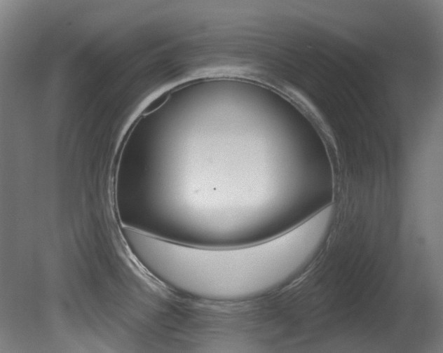 X0000081321340200701111018