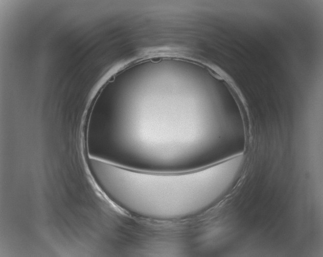 X0000081321341200701111018