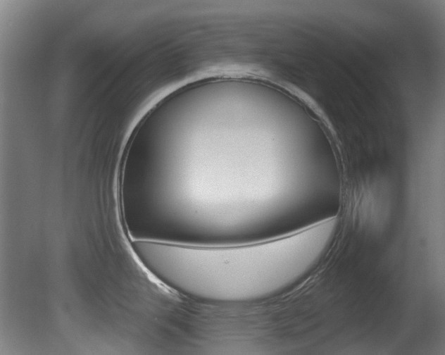 X0000081321343200701111018