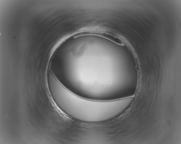 X0000081321344200701111018