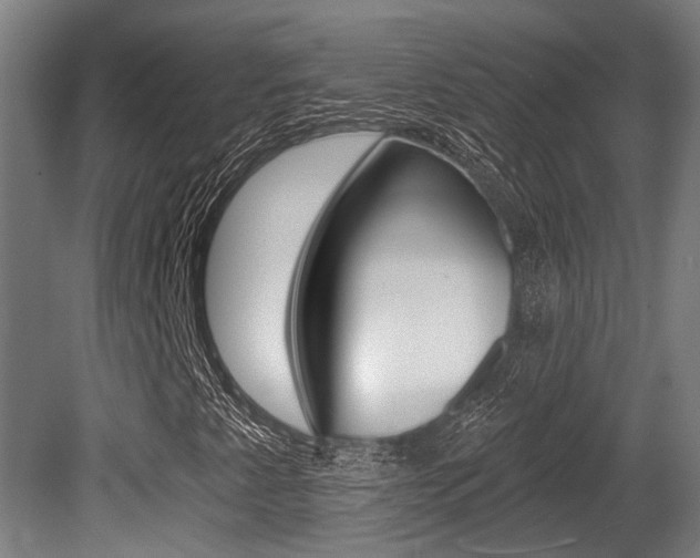 X0000081321345200701111018