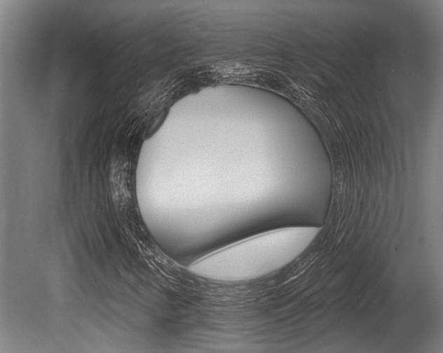 X0000081321346200701111018