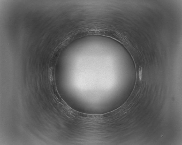 X0000081321347200701111018