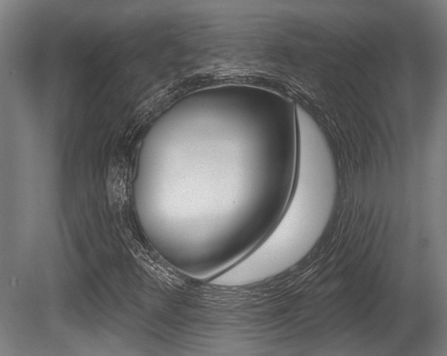 X0000081321348200701111018