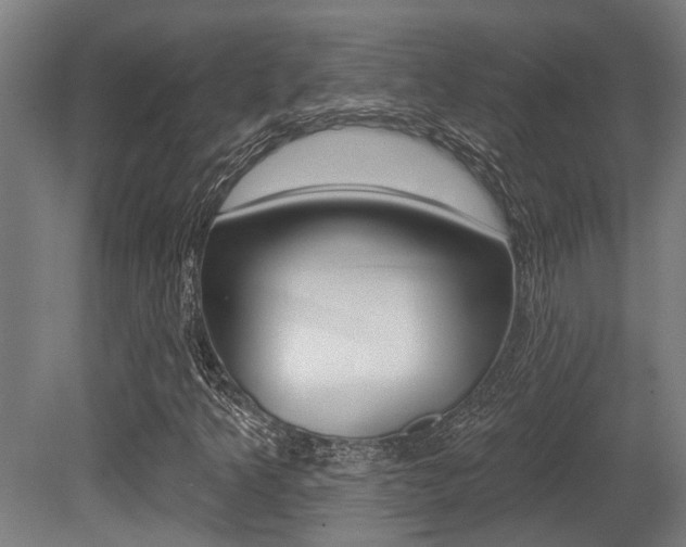 X0000081321349200701111018
