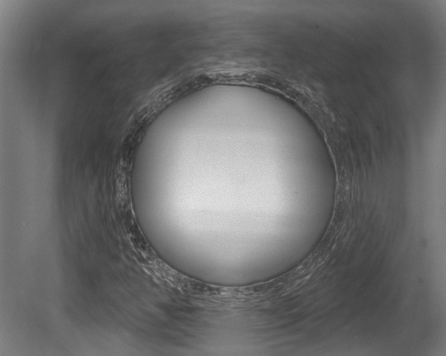 X0000081321350200701111018