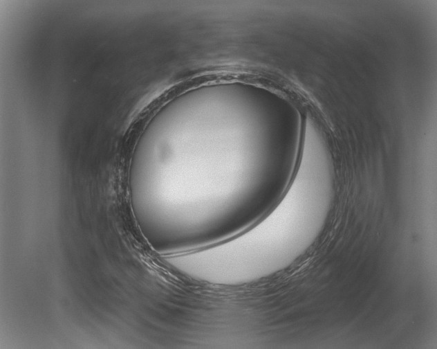 X0000081321352200701111018