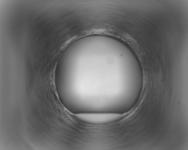 X0000081321353200701111018